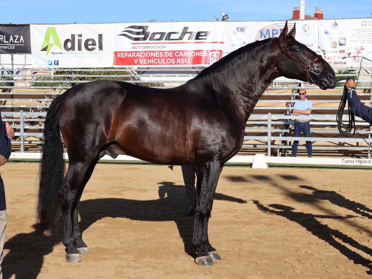 Jalisco de Marengo