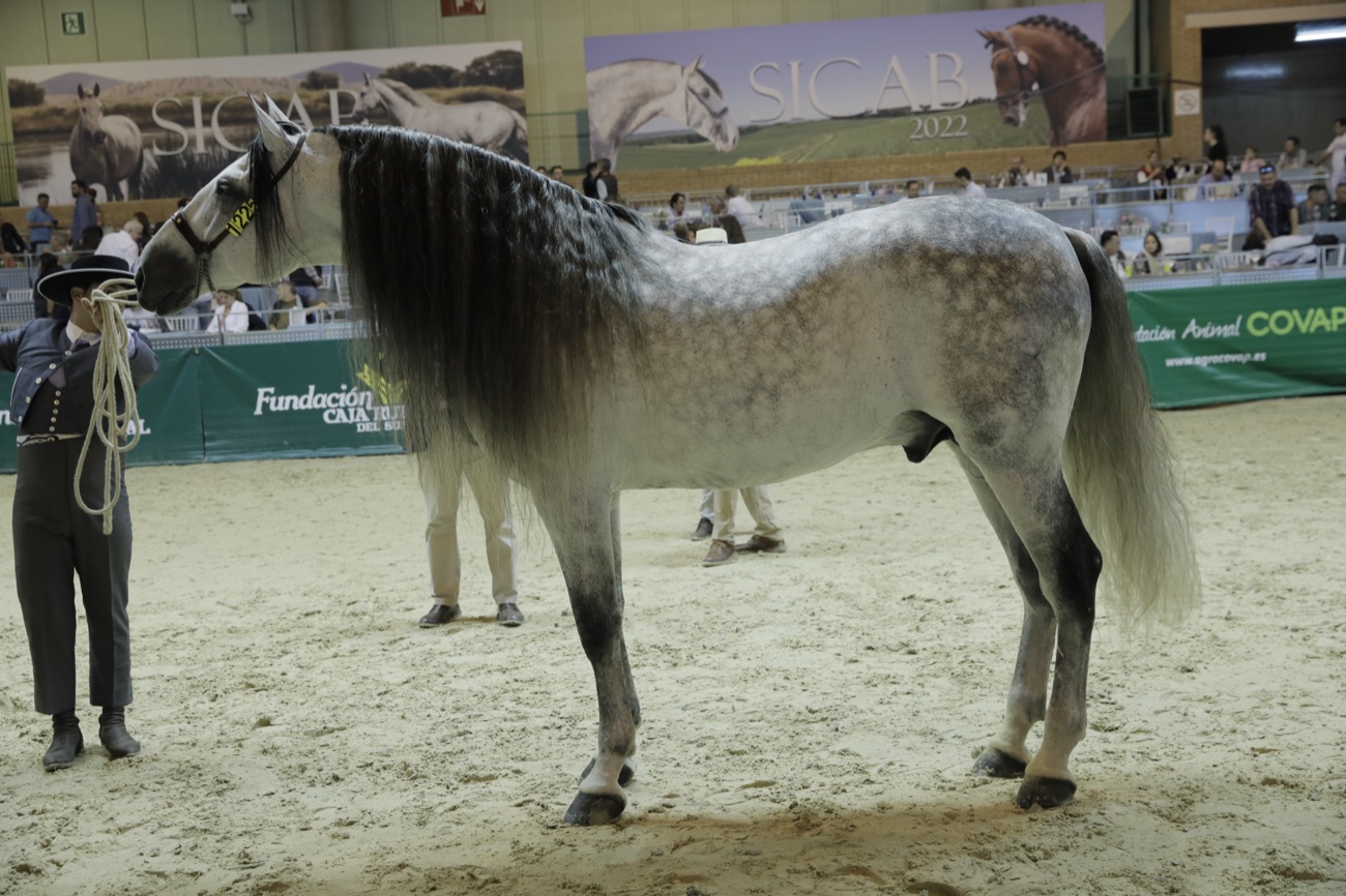 Tornado de Marengo