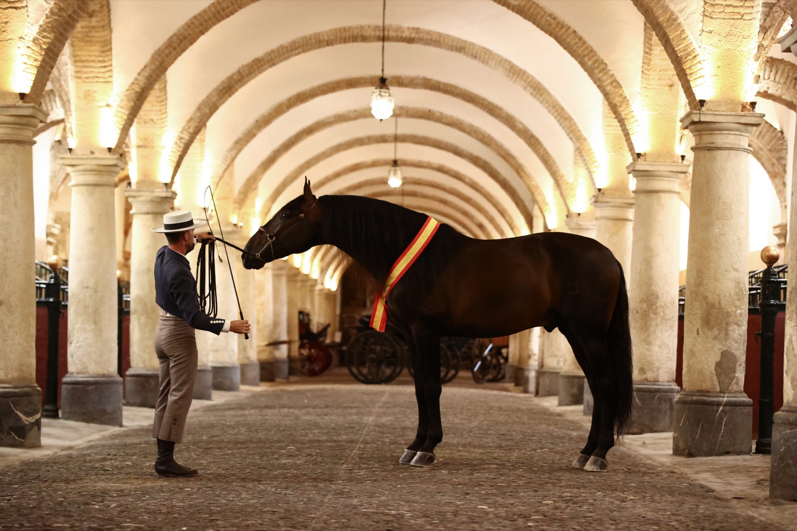 Campeón con banda en las Caballerizas Reales de Córdoba